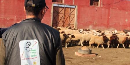 منطق
      السوق
      ونتيجة
      الإحصاء
      يثيران
      الجدل
      حول
      تراجع
      الأغنام
      بالمغرب