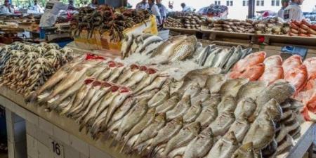 أسعار
      الأسماك
      والجمبري
      اليوم
      السبت
      10
      مايو
      2025