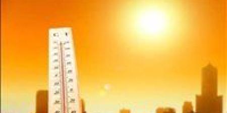 الأرصاد:
      طقس
      غداً
      الإثنين
      حار
      نهاراً
      معتدل
      ليلاً