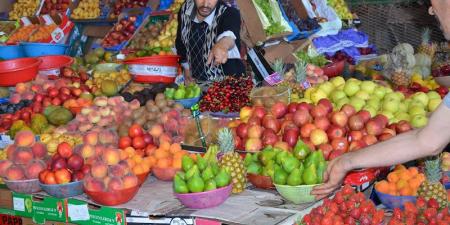 ثنائية
      العرض
      والطلب
      تلهب
      أسعار
      الفواكه
      الموسمية
      في
      أسواق
      المغرب