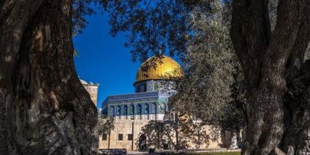 موضوع
      تعبير
      عن
      القدس..
      مقدمة
      وعرض
      وخاتمة