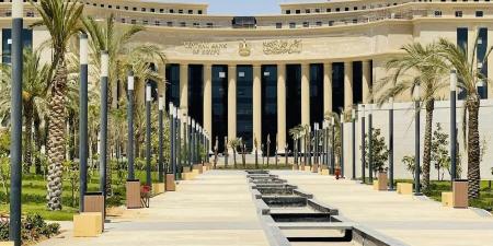 البنك
      المركزي
      يقود
      جهود
      القطاع
      ...