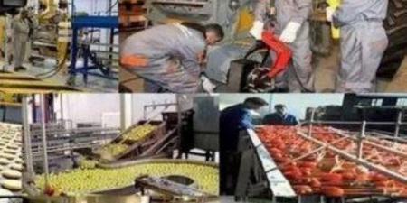 صادرات الصناعة قاربت 400 مليار درهم في 2024
