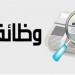 وظائف خالية للشباب برواتب مجزية وتبس 12%.. إليك طريقة التقديم