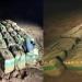 عملية
      أمنية
      تحجز
      طنا
      من
      "الشيرا"