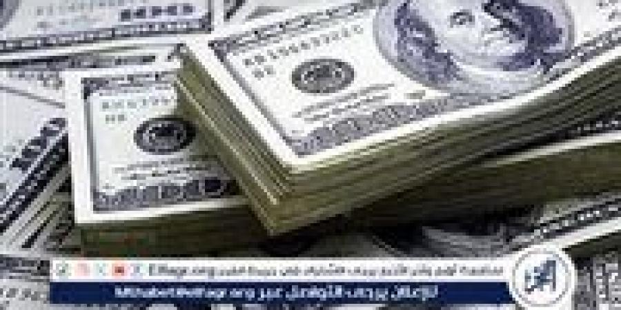 استقرار سعر الدولار مقابل الجنيه المصري اليوم الأحد 1 سبتمبر 2024