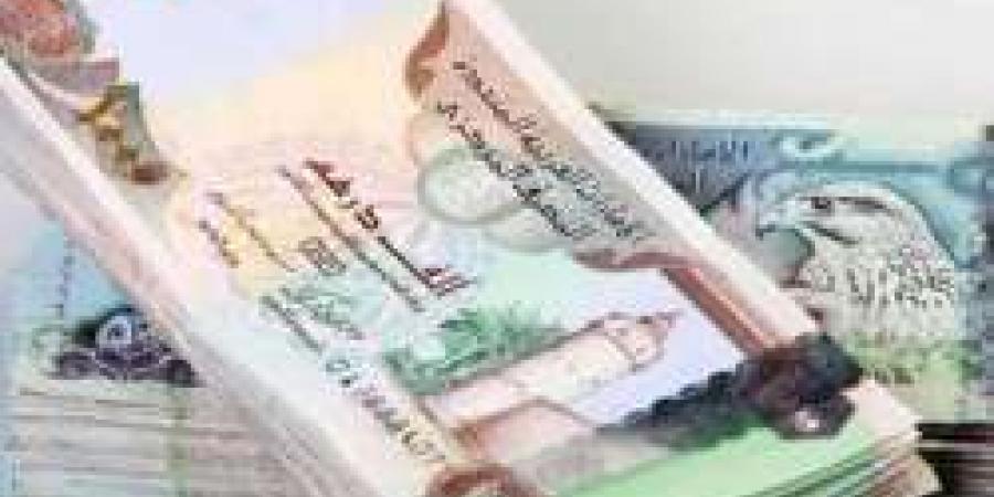 سعر الدرهم الإماراتي مقابل الجنيه المصري اليوم الأحد 1-9-2024