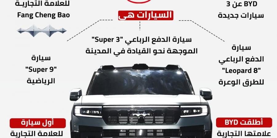 مبيعات BYD من سيارات الركاب تسجل مستوى قياسيًا في أغسطس