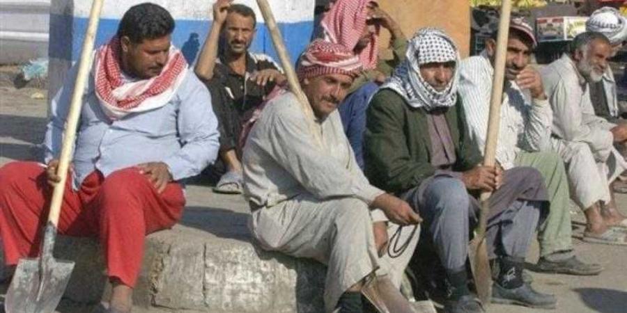 500 جنيه منحة للعمالة غير المنظمة في المولد.. اعرف كيفية الحصول عليها