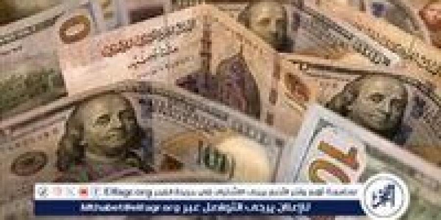 استقرار انخفاض سعر الدولار أمام الجنيه المصري اليوم الأربعاء 4 سبتمبر 2024