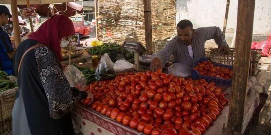 ارتفاع تاريخي.. كيلو الطماطم هيوصل لـ 45 جنيهًا ...