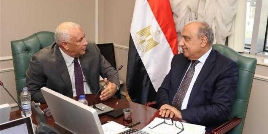 وزير الكهرباء يبحث مع محافظ الوادي الجديد تدبير الاحتياجات الكهربائية للاستثمار بالمحافظة