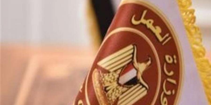 3744 فرصة عمل في انتظار الباحثين عن وظائف.. التفاصيل الكاملة