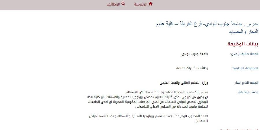 وظيفة جامعة .. جامعة جنوب الوادي فرع الغردقة تعلن عن وظائف أعضاء هيئة تدريس جديدة.. ننشر نص الإعلان