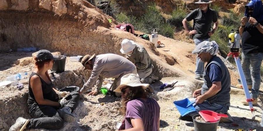 دراسة بضواحي جرادة تكشف السياق البيئي لشمال إفريقيا قبل 2.5 مليون سنة