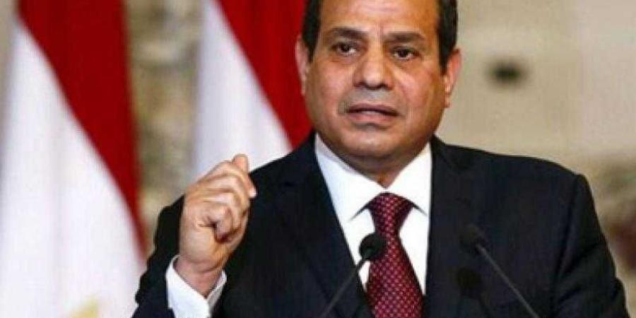 السيسي: هدفنا أن نعيش بسلام داخل حدودنا