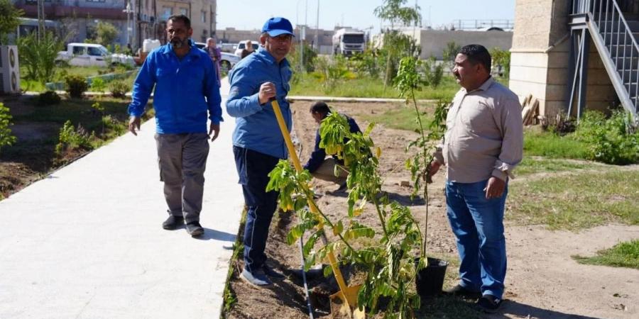 نفط ميسان تطلق حملة لزراعة وتشجير المواقع النفطية للحد من التلوث