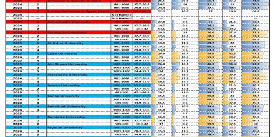 التعليم العالي تكشف عن 35 جامعة مصرية تُسجل إنجازًا مميزًا في تصنيف التايمز العالمي لعام 2025