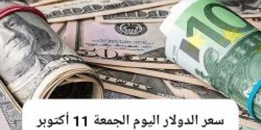 الجنيه المصري يحافظ على استقراره مقابل سعر الدولار اليوم الجمعة 11 - 10 - 2024