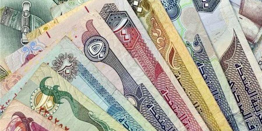 تعرف على أسعار العملات العربية في بداية تعاملات اليوم 12 أكتوبر