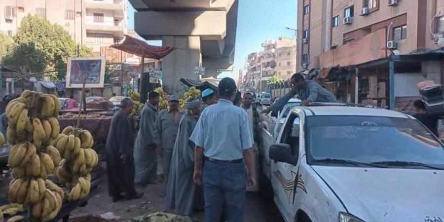 حملة لإزالة التعديات على الأراضي الزراعية بنجع حمادي