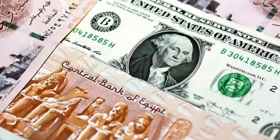 سعر الدولار مقابل الجنيه المصري اليوم الأحد 20 أكتوبر 2024