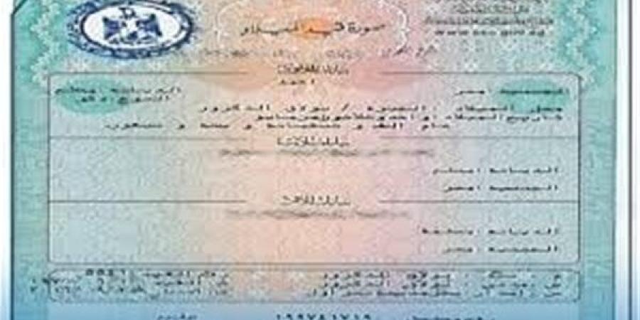 ازاي
      تستخرج
      شهادة
      الميلاد
      2024
      من
      منزلك؟..
      اعرف
      الخطوات