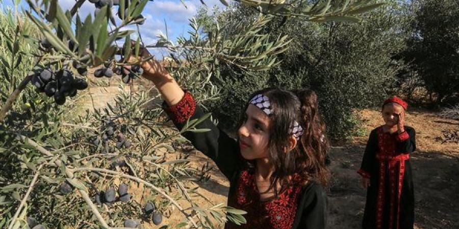 القدس
      للدراسات:
      الاحتلال
      يوجه
      ...