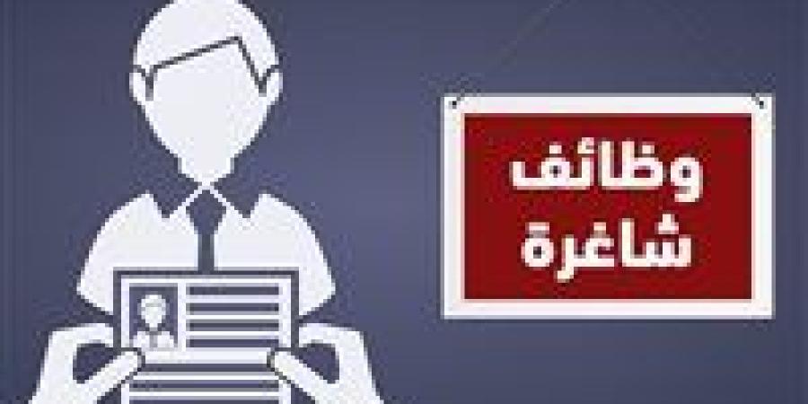 وظائف
      خالية
      لمختلف
      التخصصات
      بمحافظة
      الجيزة..
      قدم
      الآن