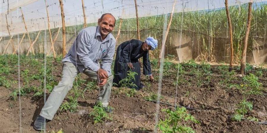 البنك
      الدولي:
      الزراعة
      معرضة
      لمخاطر
      المناخ