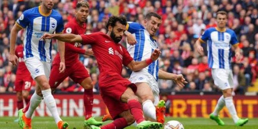 الموعد والقنوات الناقلة مباراة ليفربول وبرايتون في الدوري الإنجليزي