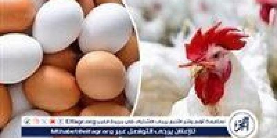 أسعار
      البيض
      اليوم
      السبت
      2-11-2024
      في
      الدقهلية