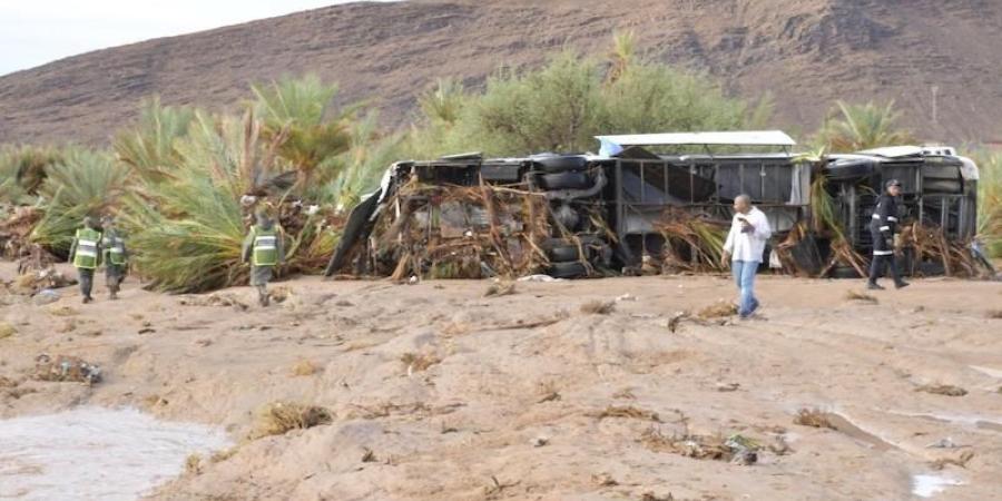 المغرب
      ومواجهة
      الكوارث
      الطبيعية
      ..
      من
      الاستجابة
      السريعة
      إلى
      العدالة
      المناخية