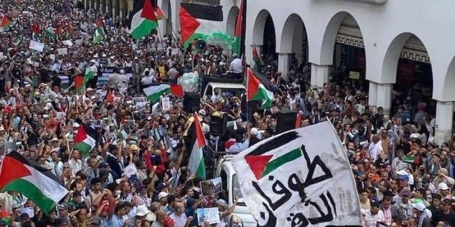 مسؤول
      بمنظمة
      التحرير
      يشيد
      بدعم
      المغرب
      لفلسطين
      ويستنكر
      حملة
      التحريض