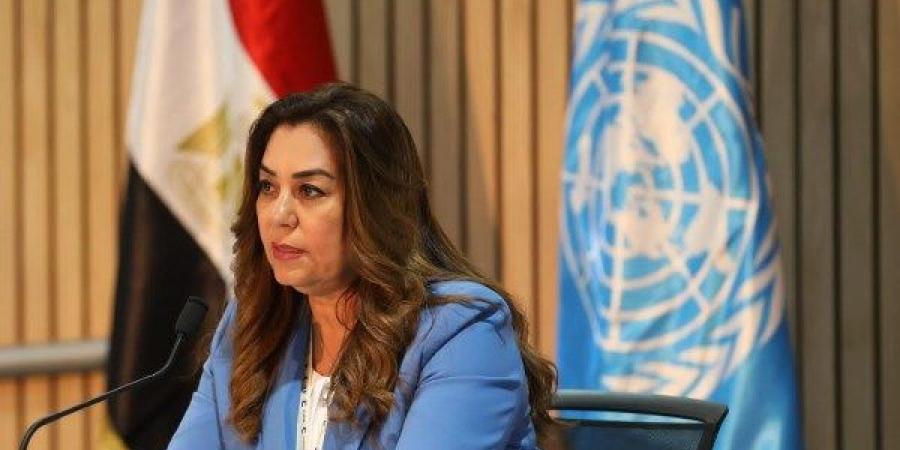 منال عوض: تكثيف جهود الوزارة لتحقيق تقدم في ملف القضية السكانية