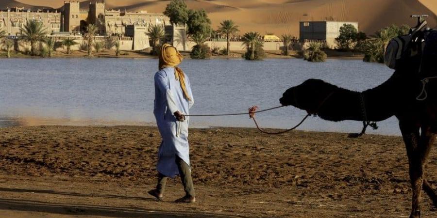 زخات
      مطرية
      ورياح
      عاصفية
      بعدة
      مدن