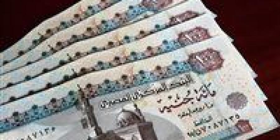 اليوم..
      صرف
      مرتبات
      شهر
      نوفمبر
      2024
      للمعلمين