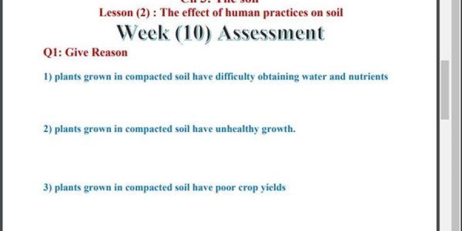 مراجعات
      نهائية..
      اسئلة
      تقييم
      الأسبوع
      العاشر
      لـ
      العلوم
      التطبيقية
      science
      الصف
      الأول
      الثانوي