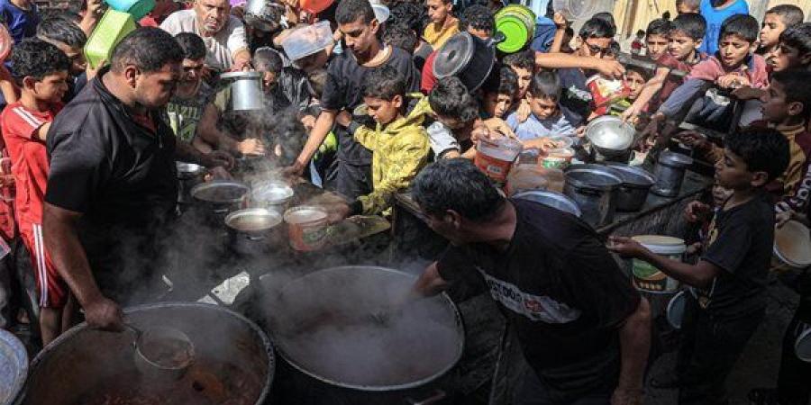 سفير
      مصر
      السابق
      بدولة
      الاحتلال:
      ...