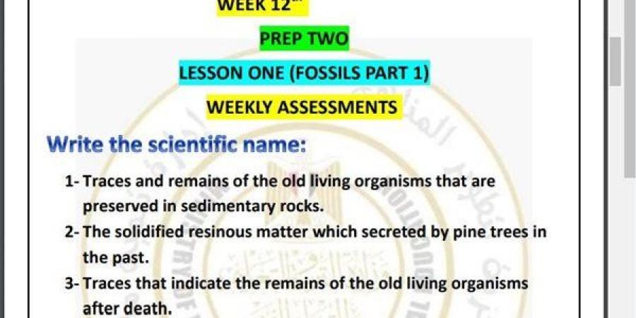 مراجعات
      نهائية..
      أسئلة
      تقييم
      الأسبوع
      الـ
      12
      العلوم
      Science
      لـ
      الصف
      الثاني
      الإعدادي