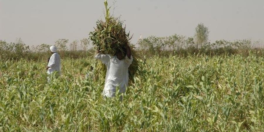 ماكينة ري تنهي حياة مزارع بسوهاج