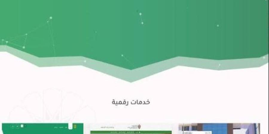 هذا موعد إطلاق بوابة الخدمات الرقمية E-POLICE وخدمة الطلب الإلكتروني لبطاقة السوابق