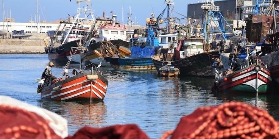 نقابة
      جديدة
      للصيد
      التقليدي
      بالمغرب
      تبحث
      حل
      مشاكل
      "الفئة
      الأضعف"