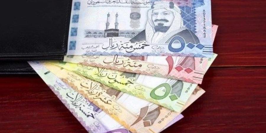 تزامنا مع موسم الحج لعام 2025.. سعر الريال السعودي أمام الجنيه المصري