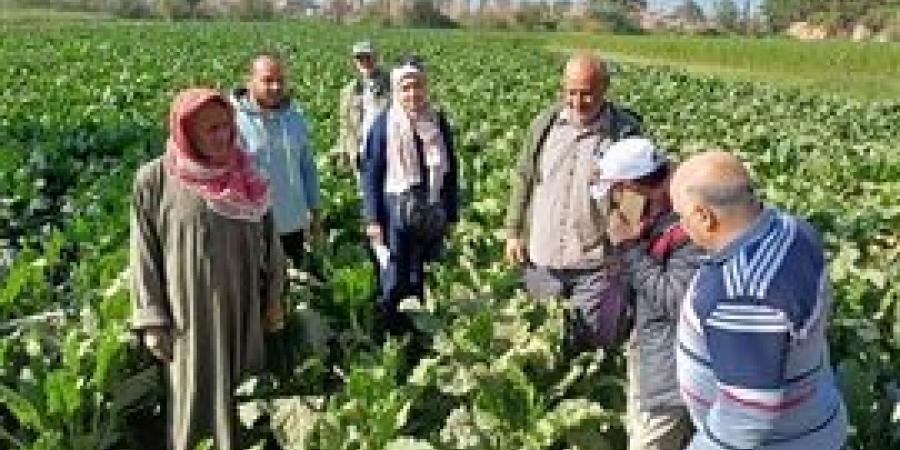 البحوث
      الزراعية
      يستعرض
      حصاد
      أنشطة
      مبادرة
      المراكز
      الإرشادية
      الزراعية
      خلال
      النصف
      الأول
      من
      شهر
      ديسمبر
      2024