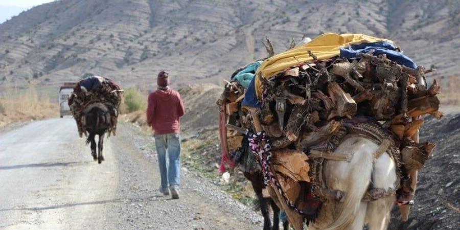 توقعات
      طقس
      اليوم
      الاثنين
      بالمغرب