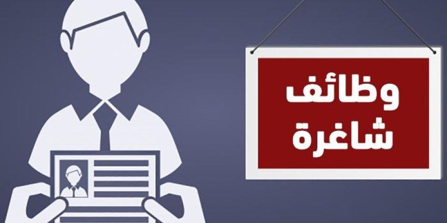 فرصة ذهبية للعمل في شركة الكهرباء، الشروط وطريقة التقديم