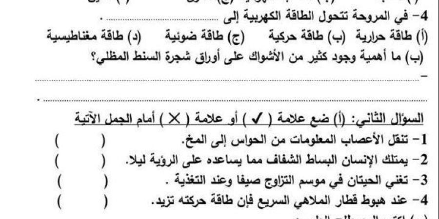 مراجعات
      نهائية..
      6
      نماذج
      امتحان
      بالنظام
      الجديد
      في
      العلوم
      لـ
      الصف
      الرابع
      الابتدائي