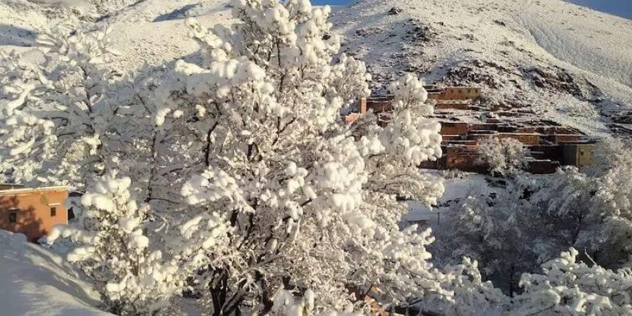 توقعات
      طقس
      اليوم
      الجمعة
      بالمغرب