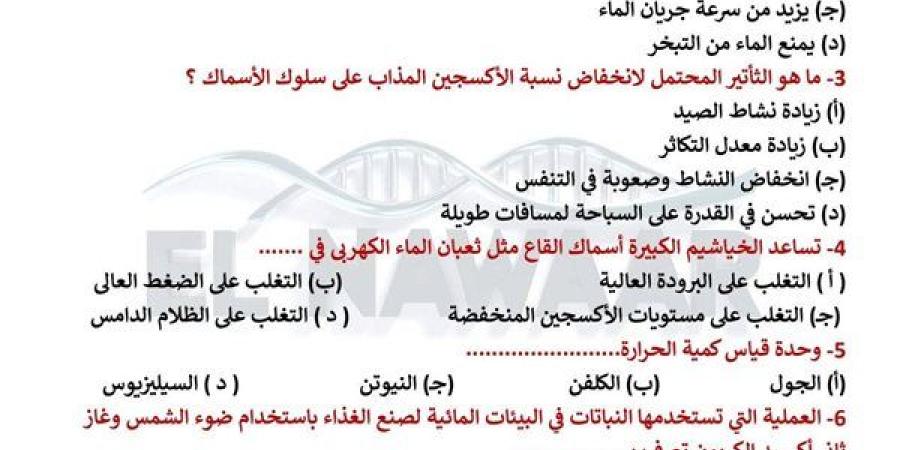 مراجعات
      نهائية..
      85
      سؤالا
      من
      متعدد
      في
      العلوم
      المتكاملة
      لـ
      الصف
      الأول
      الثانوي